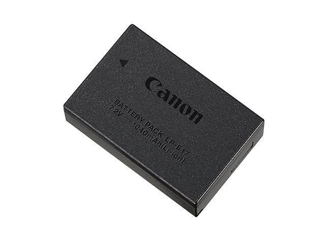 Canon LP-E17 battery pack in black, upright