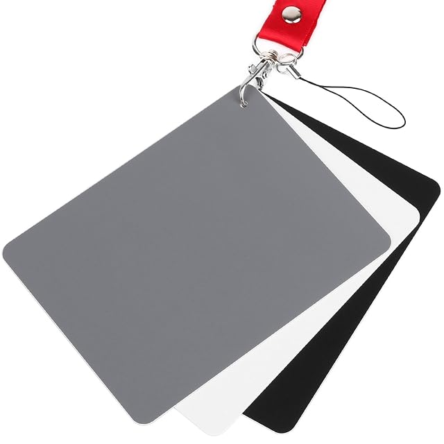 ChromLives set of black, white and grey reference cards on their lanyard