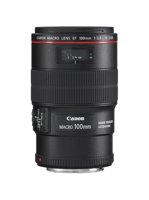 Canon EF 100mm L IS macro lens in black with its red L ring and focus limiter switch