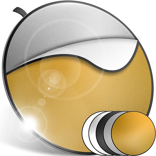 Retoo five-in-one reflector disc showing its gold surface, with its zipped case